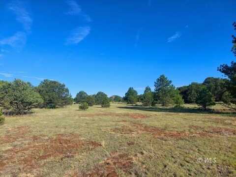 14th Trail, Cotopaxi, CO 81223