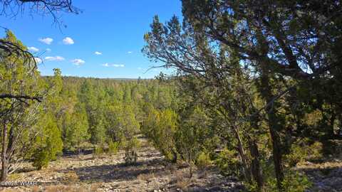 2947 E Lookout Lane, Overgaard, AZ 85933