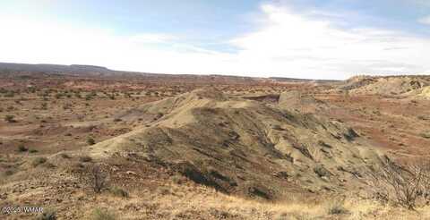 Lot 205 River Springs Ranch, Saint Johns, AZ 85936