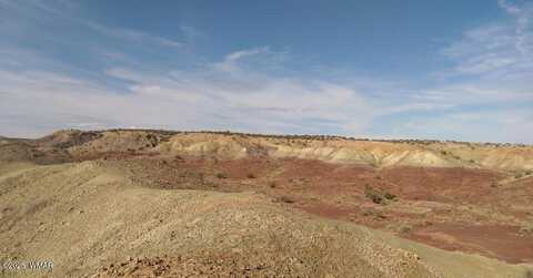 Lot 200 River Springs Ranch, Saint Johns, AZ 85936