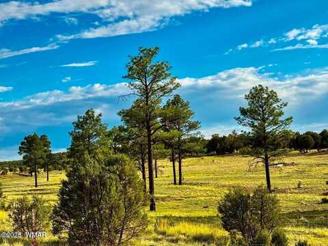 Tbd Flake Rd Lots L & P 2.54 Acres, Overgaard, AZ 85933