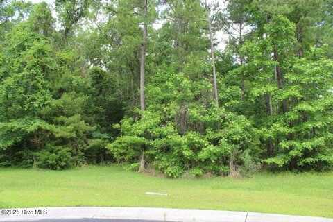 1404 Pindo Court SE, Bolivia, NC 28422