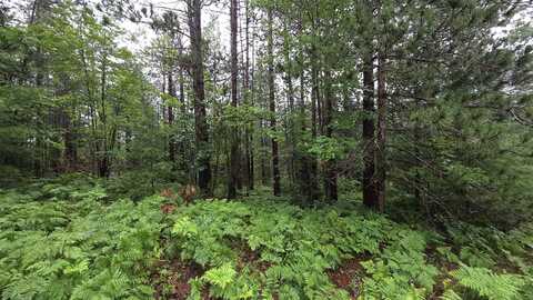 16844 Evergreen Drive, Wolverine, MI 49799