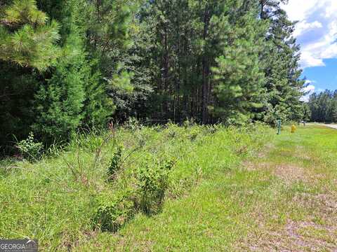 0 Shoreline, Kingsland, GA 31548
