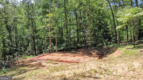 186 Sweetbriar, Demorest, GA 30535
