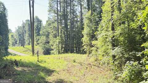 8 Sweetwater, Villa Rica, GA 30180