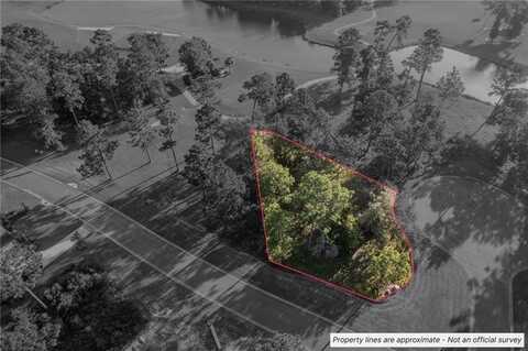 Lot 31 Woodstork Court, Waverly, GA 31565