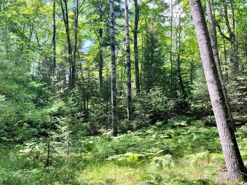 5 Ac On KNUTH LN, Eagle River, WI 54521