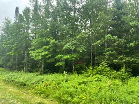 On CTH N, Glidden, WI 54527