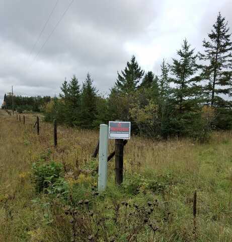 E 15 Mile Road, Barbeau, MI 49710