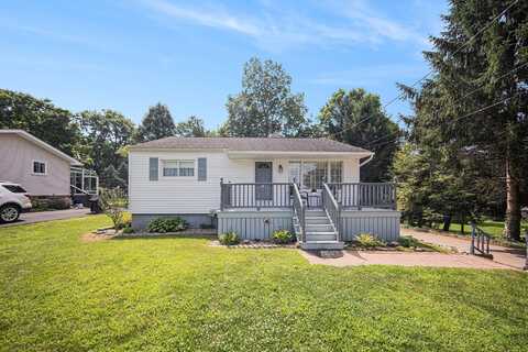 219 Auburn Street, Manchester, MI 48158
