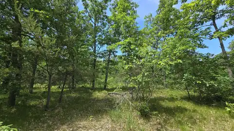 Vl Custer, Manistee, MI 49660