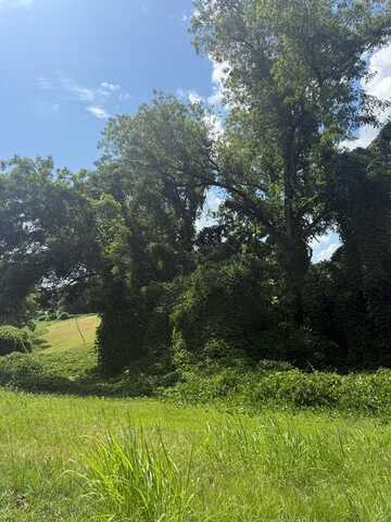 0 Branch St., Abbeville, SC 29620