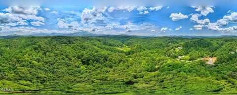 108 004.00 Birds Creek Road, Gatlinburg, TN 37738