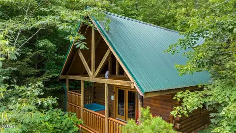 663 Black Bear Falls Way, Gatlinburg, TN 37738
