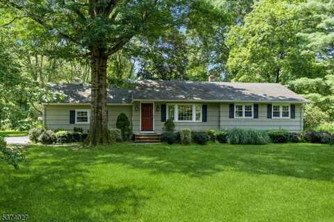 24 Briar Ln, Bernardsville, NJ 07920