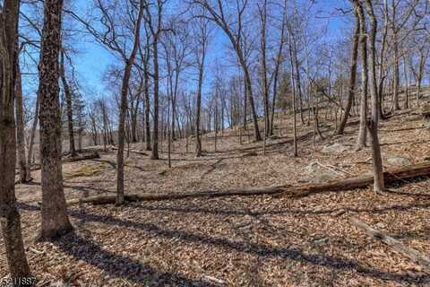 68 Magee Rd, Ringwood, NJ 07456