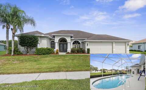 13480 Twinberry Drive, Spring Hill, FL 34609