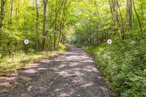 3871 Dicks Creek Road, Whittier, NC 28789