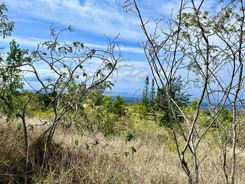 BAMBOO LN, Ocean View, HI 96737