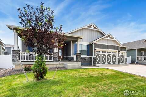 1141 Ibex Dr, Severance, CO 80550
