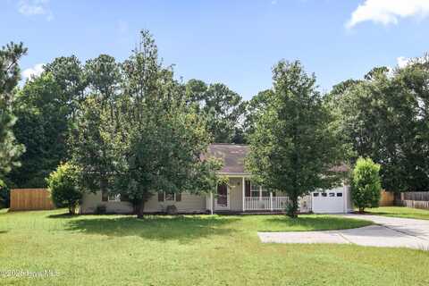 118 Goldie Lane, Beulaville, NC 28518