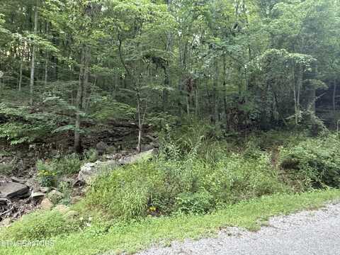 224 Dublin Lane, Crossville, TN 38558