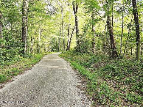 0 Laurel Dale Cemetary Rd, Rugby, TN 37733