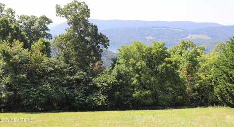 Lot 168 Feldspar Rd, New Tazewell, TN 37825