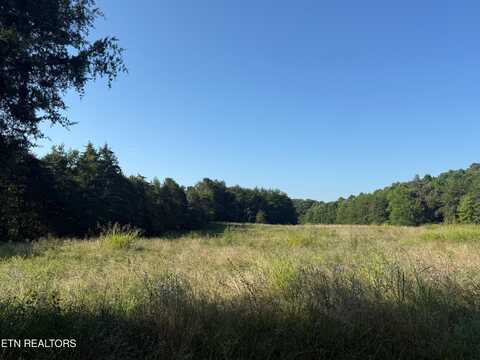Alex Bales (39.31 acres) Rd, Kodak, TN 37764