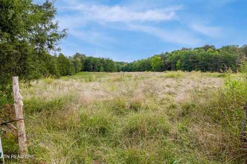 Alex Bales (39.31 acres) Rd, Kodak, TN 37764