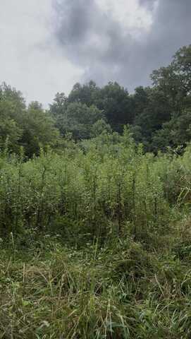 Collins Road, Blaine, TN 37709