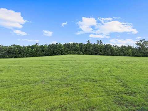 Tbd Crystal Farms Rd, Tatum, TX 75691