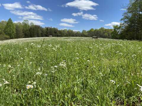 8450 Highway 196 Road, Nancy, KY 42544