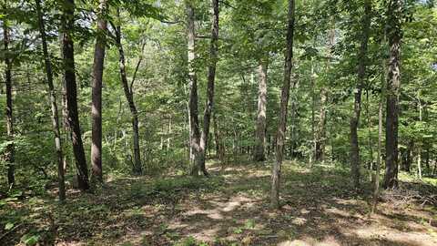 5.3 Acres Gravel Ln, Lexington, VA 24450