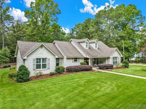 13884 Old Pike Road, Mathews, AL 36052