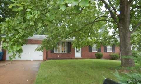 10412 Saint Ives Drive, Saint Louis, MO 63136