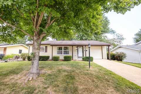 300 Todd Lane, Belleville, IL 62221