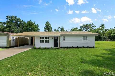 305 W Becky Street, Clarkton, MO 63837