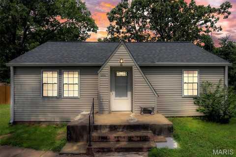 3251 221 Highway, Doe Run, MO 63637