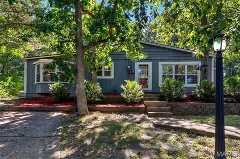 109 N Lake Drive, Hillsboro, MO 63050