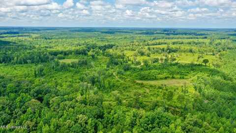 12079 Bowling Green Road, Durant, MS 39063