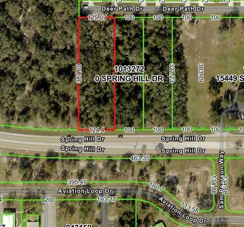 15389 SPRING HILL DRIVE, BROOKSVILLE, FL 34604