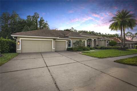 12031 BREWSTER DRIVE, TAMPA, FL 33626