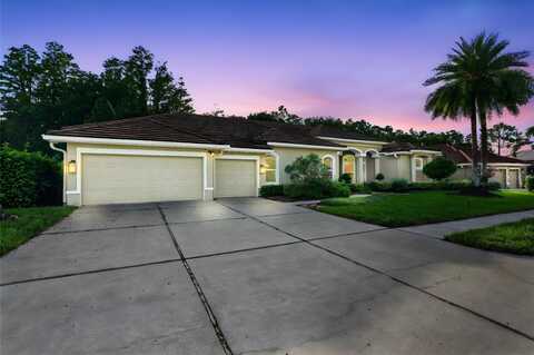 12031 BREWSTER DRIVE, TAMPA, FL 33626