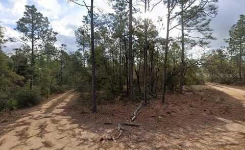 HAWAII AVENUE, INTERLACHEN, FL 32148