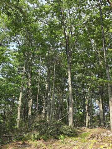 00 Pinnacle Road, Liberty, ME 04949