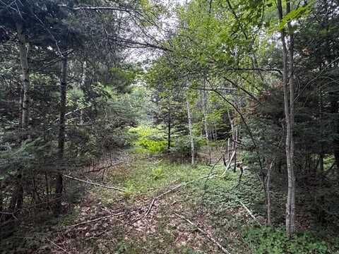 M2 L21-2 S Ridge Road, Palmyra, ME 04965