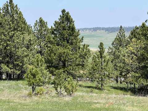 Lot 13 Oak Drive, Whitewood, SD 57793