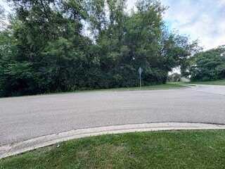 Lot 1 Asbury Avenue, Fox River Grove, IL 60021